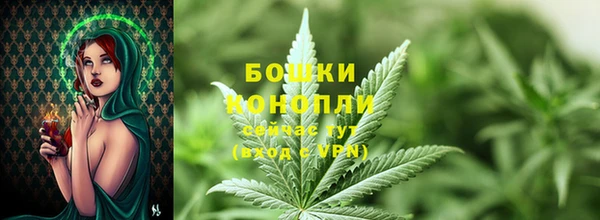 PSILOCYBIN Алзамай