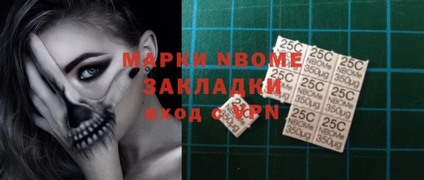 PSILOCYBIN Алзамай