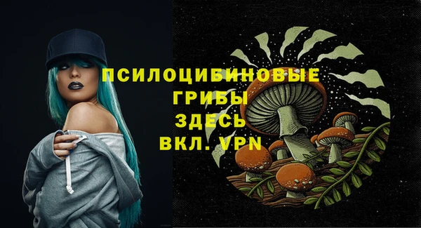 героин Алексин