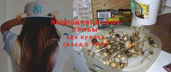эйфоретик Пролетарск