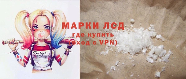 PSILOCYBIN Алзамай
