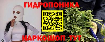 скорость Бийск